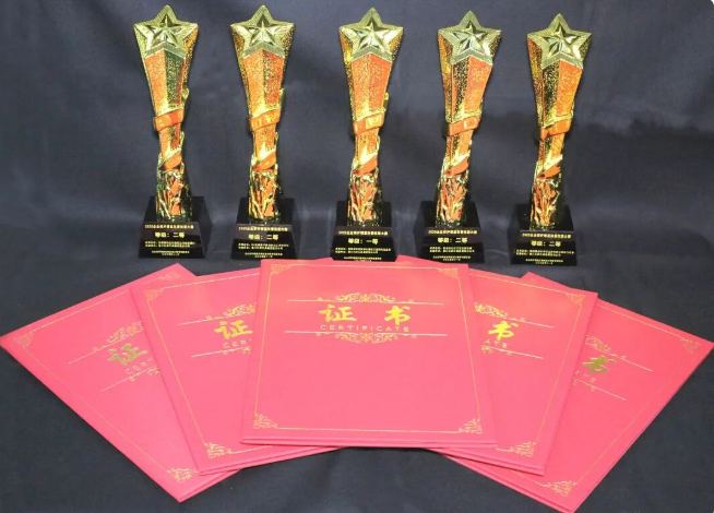 【喜訊】2025精益改善大賽斬獲多項(xiàng)殊榮!